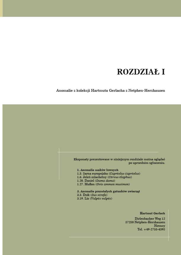 Anomalie zwierząt łownych z międzynarodowych kolekcji - obrazek 2